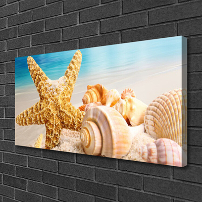Vászonkép falra Starfish Shell Art