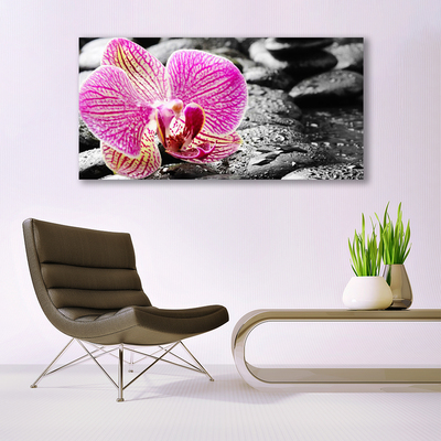 Canvas kép Orchidea virág Stones