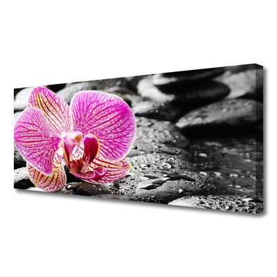 Canvas kép Orchidea virág Stones