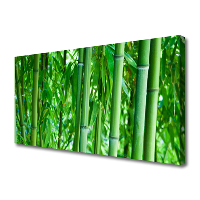 Canvas kép Bamboo Stem Plant