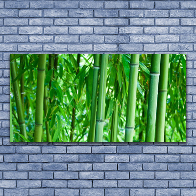 Canvas kép Bamboo Stem Plant