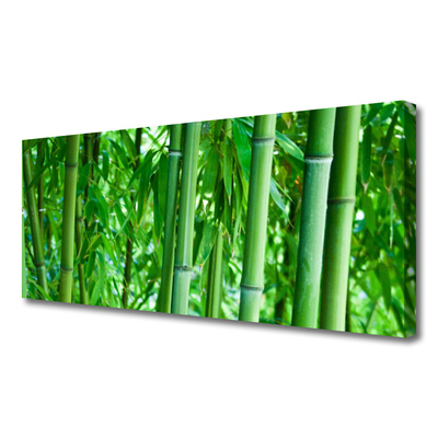 Canvas kép Bamboo Stem Plant