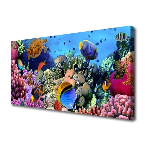 Vászonfotó Barrier Reef Nature