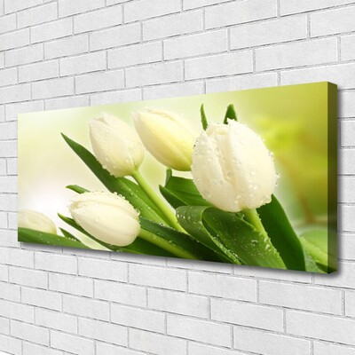 Vászonfotó Tulipán virágok Plant