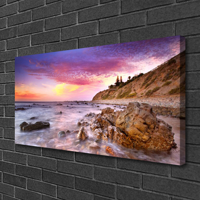 Canvas kép Sea Stones Landscape