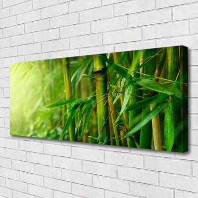 Vászonkép Bambusz szárak Plant