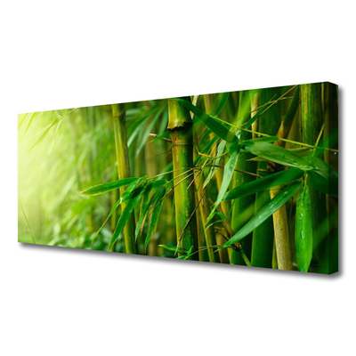 Vászonkép Bambusz szárak Plant