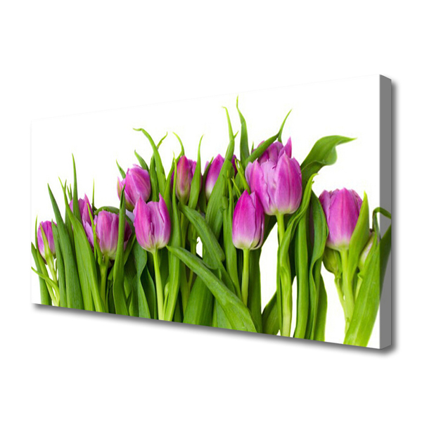 Canvas kép Tulipán virágok Plant