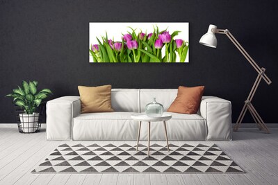 Canvas kép Tulipán virágok Plant