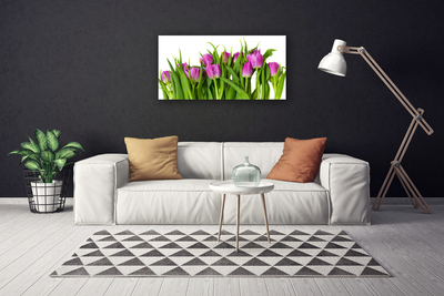 Canvas kép Tulipán virágok Plant