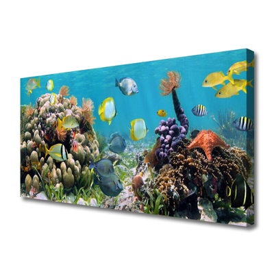Vászonkép falra Barrier Reef Nature