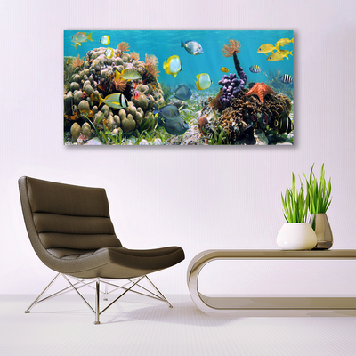 Vászonkép falra Barrier Reef Nature