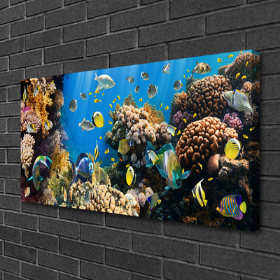 Vászonkép nyomtatás Barrier Reef Nature