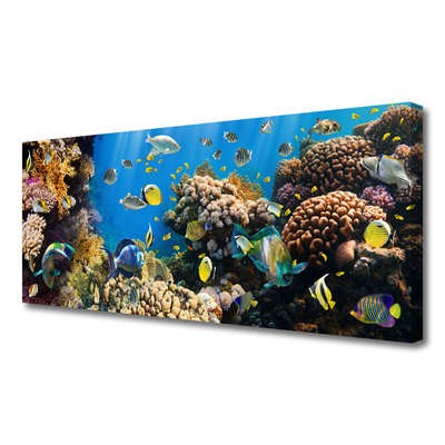 Vászonkép nyomtatás Barrier Reef Nature