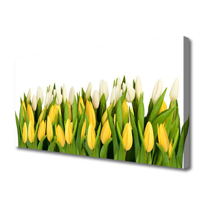 Vászonfotó Tulipán virágok Plant
