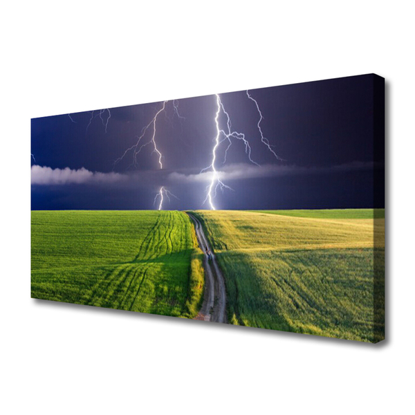Vászonkép Lightning Field Landscape