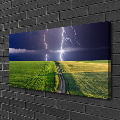 Vászonkép Lightning Field Landscape