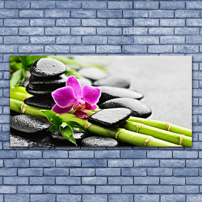 Vászonkép falra Virág bambusz Stones Art