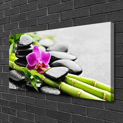 Vászonkép falra Virág bambusz Stones Art