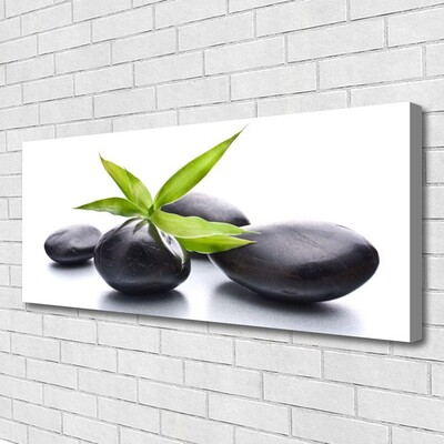 Canvas kép Stones Art levelek