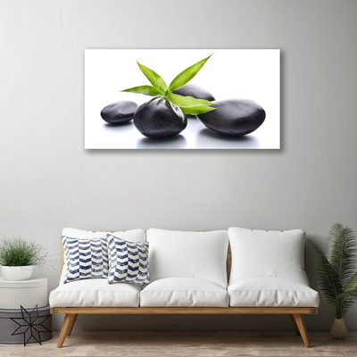 Canvas kép Stones Art levelek