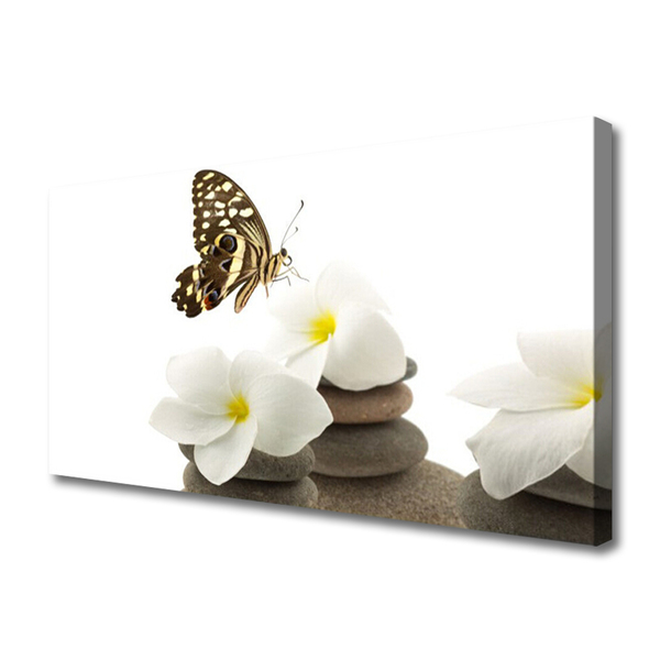 Canvas kép Butterfly Flower Plant Stones