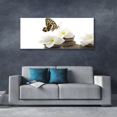 Canvas kép Butterfly Flower Plant Stones