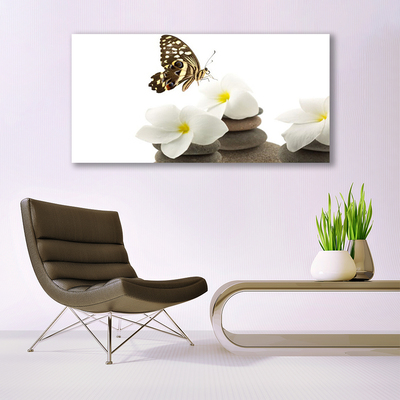 Canvas kép Butterfly Flower Plant Stones