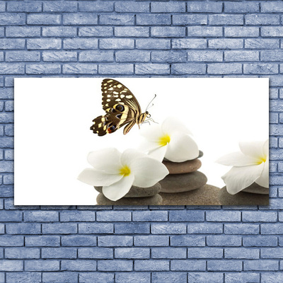 Canvas kép Butterfly Flower Plant Stones