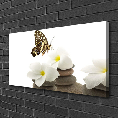 Canvas kép Butterfly Flower Plant Stones