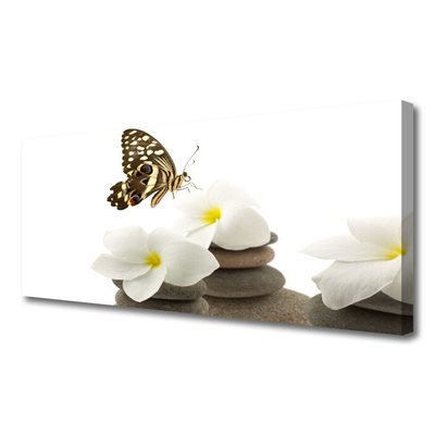 Canvas kép Butterfly Flower Plant Stones