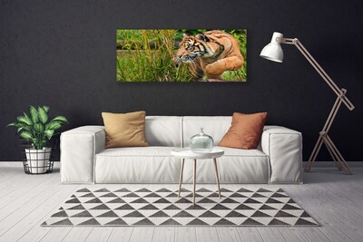 Vászonfotó tigris Állatok