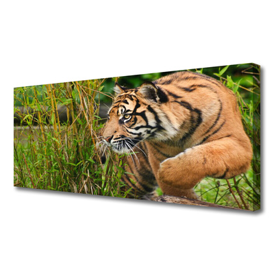 Vászonfotó tigris Állatok