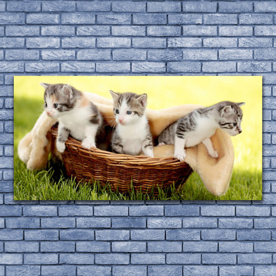 Vászonkép macskák Állatok