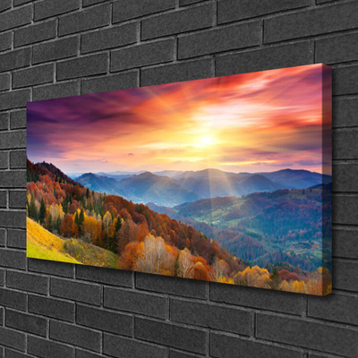 Canvas kép A Sun Mountain Forest Landscape