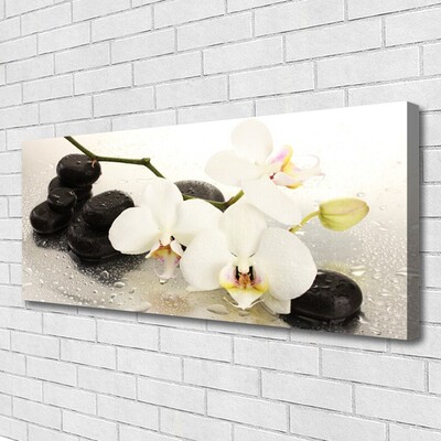 Vászonkép falra Szép virág orchidea