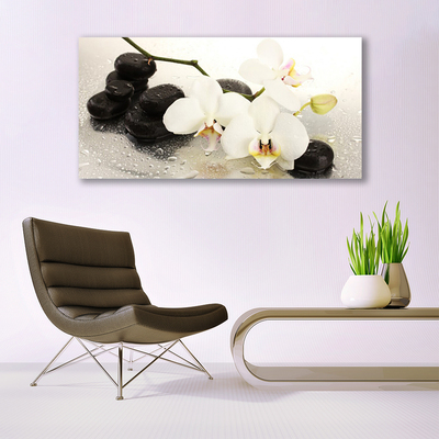 Vászonkép falra Szép virág orchidea