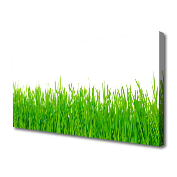 Canvas kép Grass Nature Plant