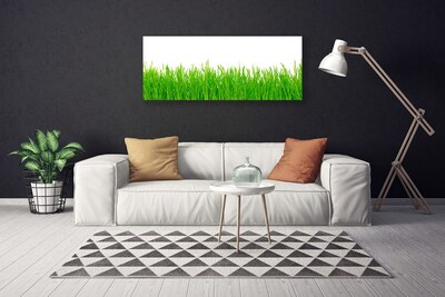 Canvas kép Grass Nature Plant