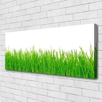 Canvas kép Grass Nature Plant