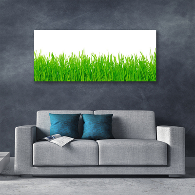 Canvas kép Grass Nature Plant