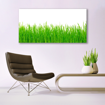 Canvas kép Grass Nature Plant