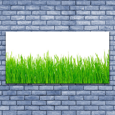 Canvas kép Grass Nature Plant