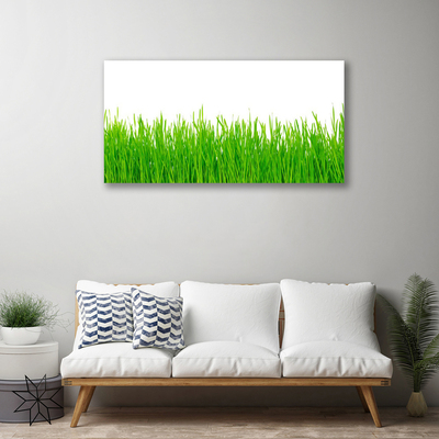 Canvas kép Grass Nature Plant