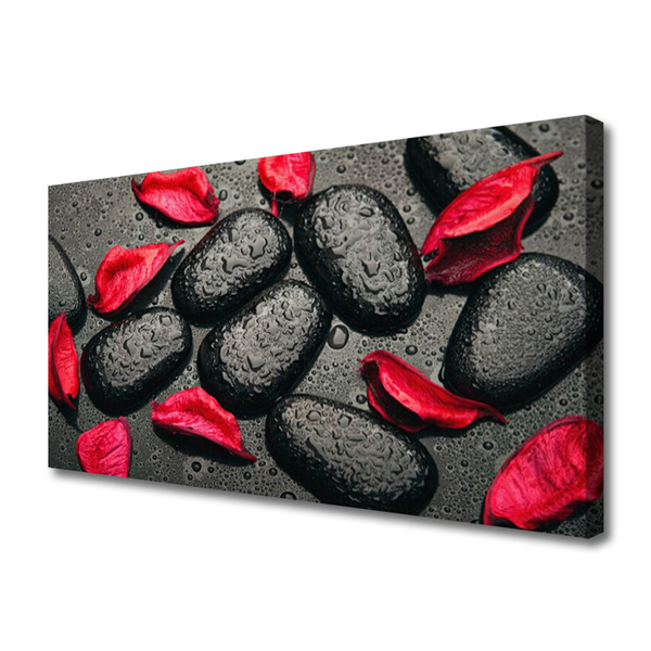 Canvas kép Pehely Stones Art