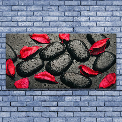 Canvas kép Pehely Stones Art