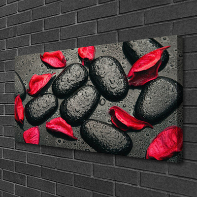 Canvas kép Pehely Stones Art