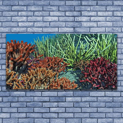 Canvas kép Barrier Reef Nature