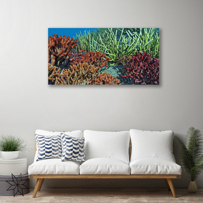 Canvas kép Barrier Reef Nature