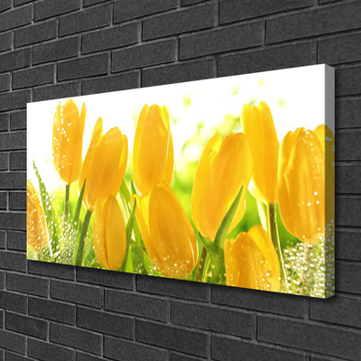 Vászonkép Tulipán virágok Plant